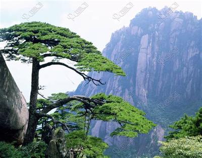 家居风水入门:阳台布局的十大禁忌