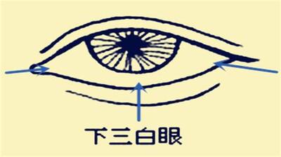 梅花易数深入浅出教程:从基础到应用